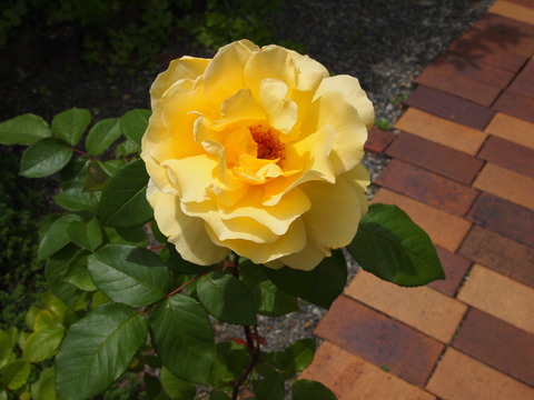 P5079331