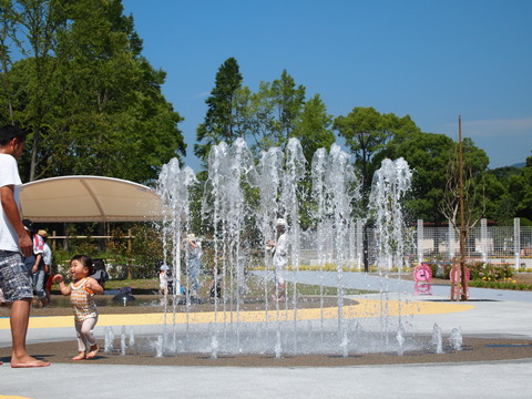 P7079958