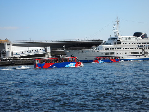 P3110625