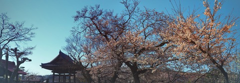 P3251400-PANO