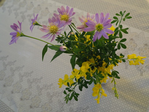 P5010035