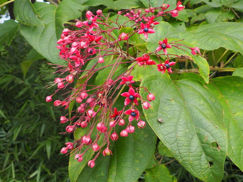 PA010071