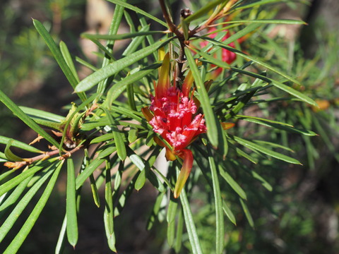 P3040429
