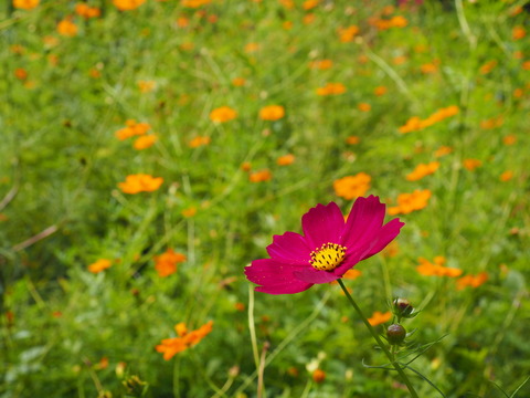 PA010080
