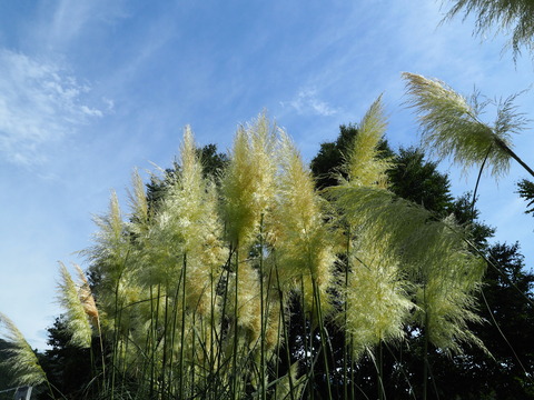 P8250029