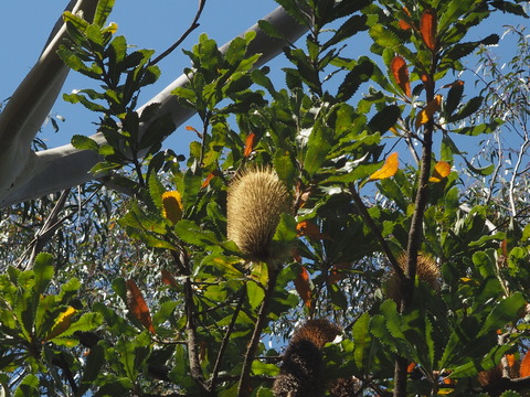 P3040489