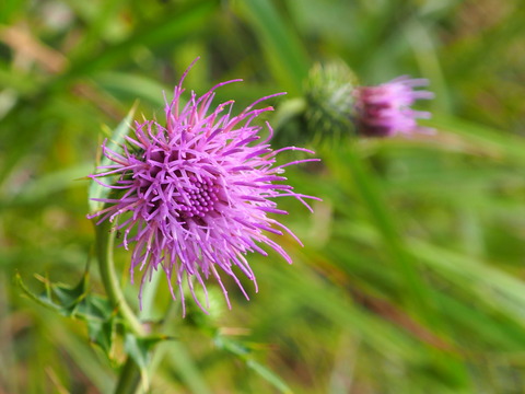 PA010070