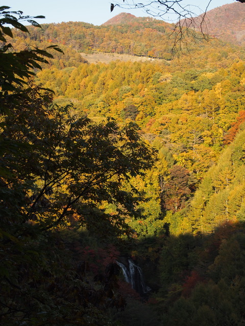 PA197624