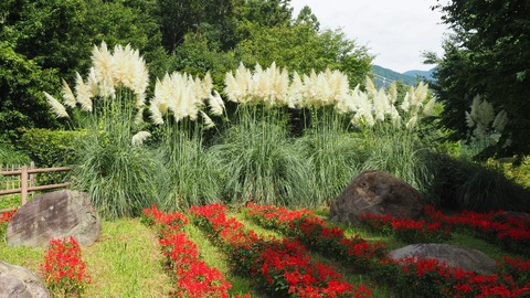 P8250027