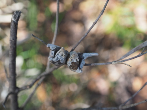 P3040431