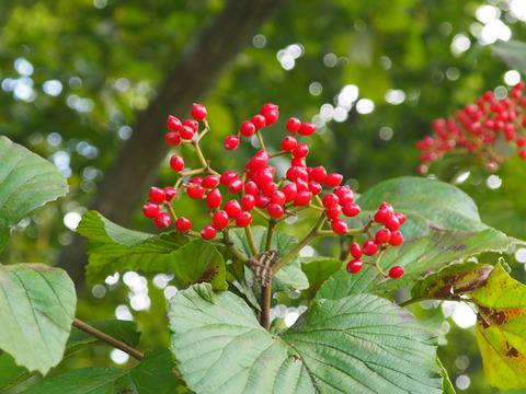 PA010059
