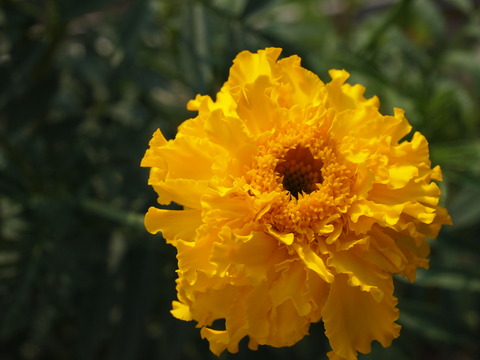 P8037093
