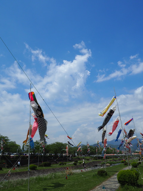 P5040034