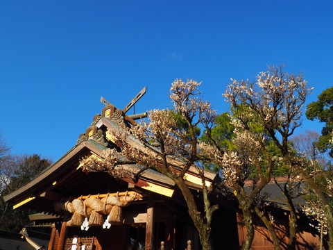 P2030016