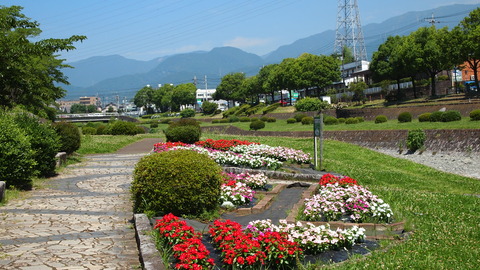 P7079997