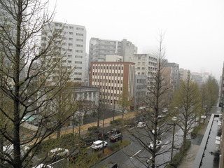 P4230004