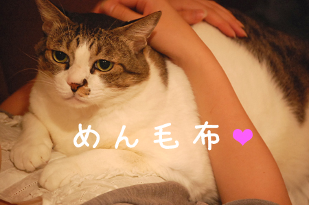 �˾��.��o��