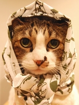 お似合いですよw