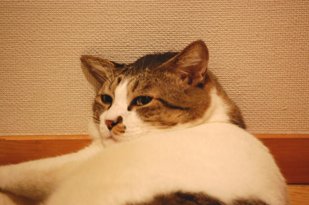 ���뤫�ʡ�