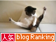�͵�blog��󥭥󥰤�