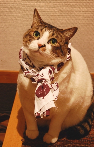 しばしお待ちを〜^^