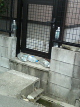 �ڥåȥܥȥ�ǥ�����