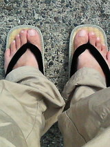 ­��Ĺ���ƥ����