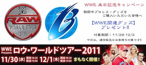 wwe_worldtour2011_banner2