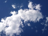 80589a45.jpg