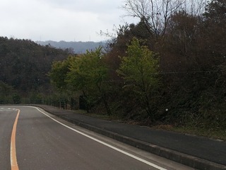 20120124_105941