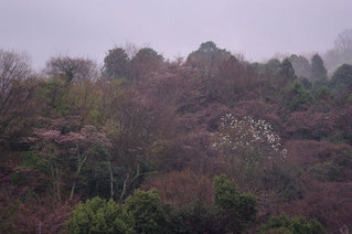 IMGP8172
