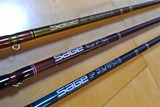 SAGE RODS