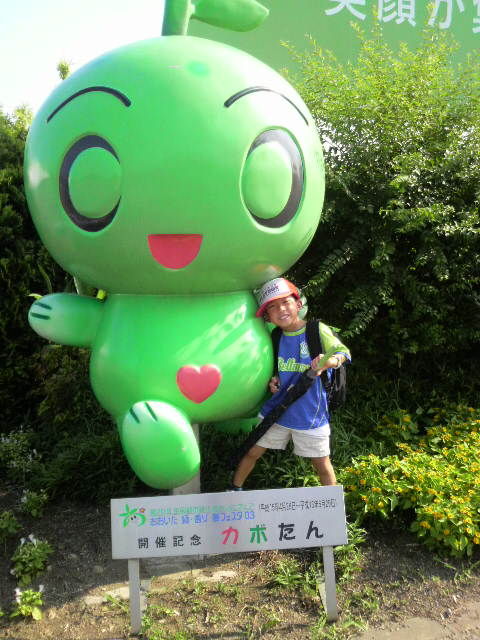 かぼたん