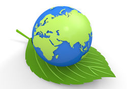 055-illustration-environment