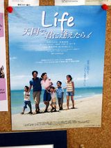 life��ŷ��Ƿ��˲񤨤��� ���ơ��ٸ���