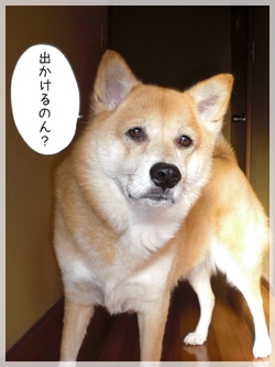 �Ǥ�����Τ�