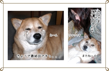 �ʡ������ǽ���