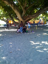 photo5