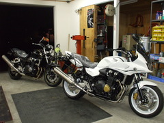 DSCF0981