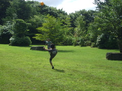 DSCF3381