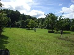 DSCF3376