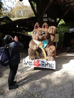 21-005 (17)