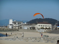 03 (138)