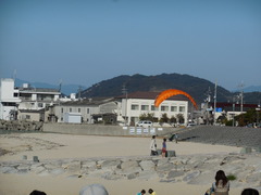 03 (139)