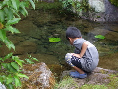 DSCF3392