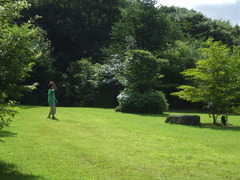 DSCF3378