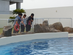 DSCN3384