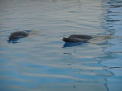 DSCN3387