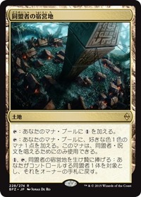228_jpn