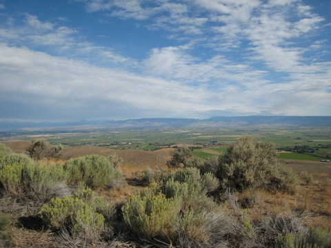 Yakima1